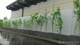 ����� �� ������� ������� (10)